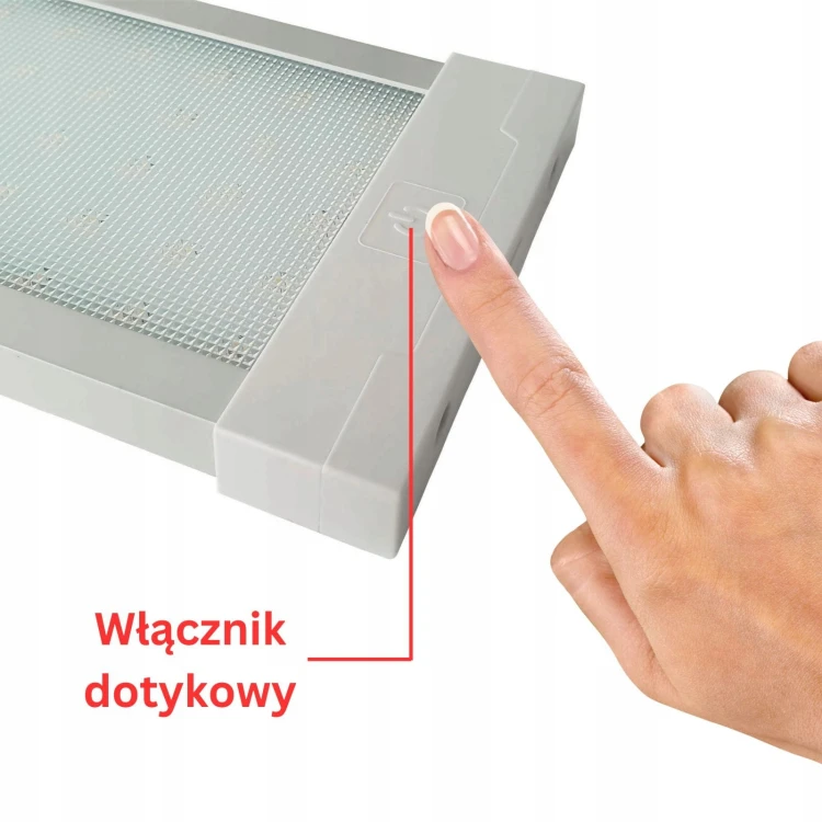 1110.webp