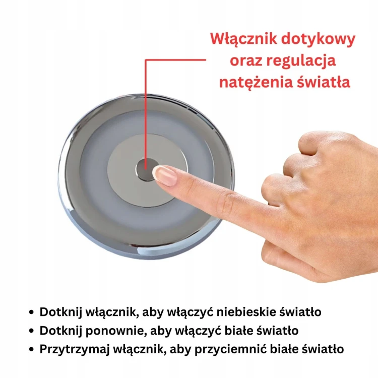590.webp