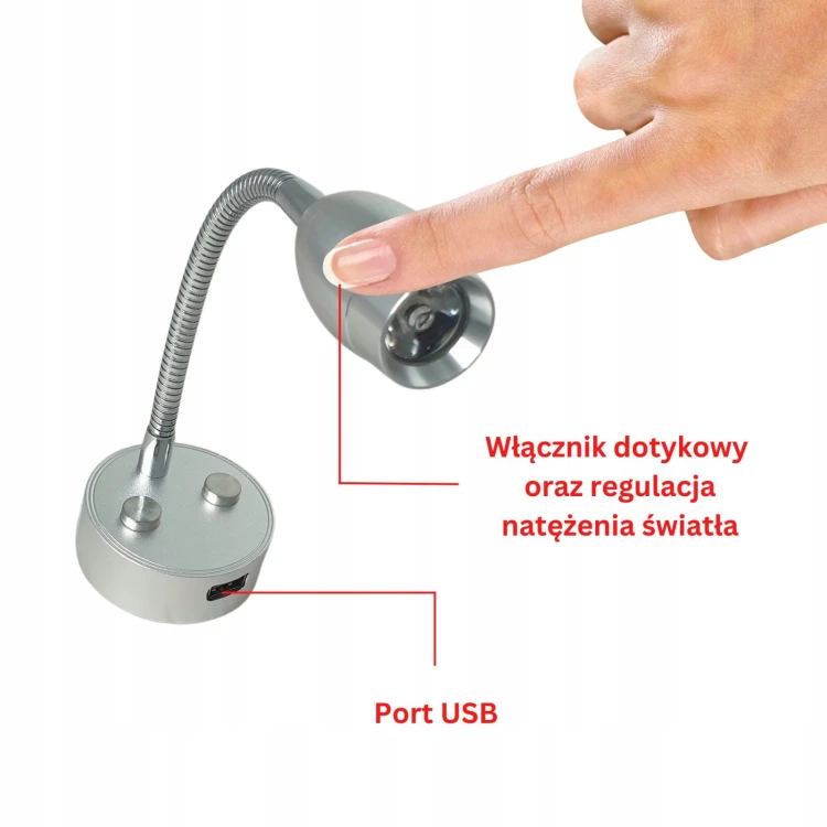 531.webp